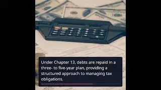 Bankruptcy and Tax Debt: What You Need to Know