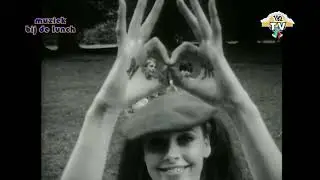 The Jay-Jays - Come Back If You Dare  (1966)