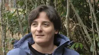 Lissandre : palombes et technologie.