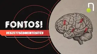 Veszettségmentesítés - I. Epizód - Virológia és Diagnosztika