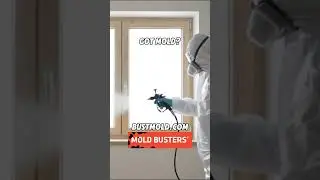 🌟✨ &ldquo;Crystal-Clear Window Mold Removal ASMR&rdquo; 🌿🔊