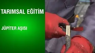 Tarımsal Eğitim - Jüpiter Aşısı