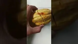 fresh pick cacao #viral #shortvideo #youtubeshorts #shortviral