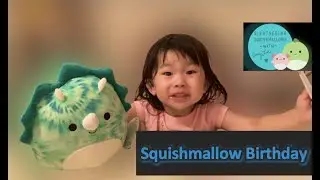 Cute Squishmallow Birthday Party #homegoods haul