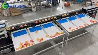 Sorting multiple fruits in one machine, citrus, pomegranate, dragon fruit grading equipment