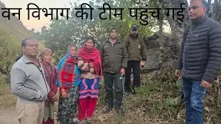 तेंदुआ को पकड़ने वन विभाग की टीम पहुंच गई#leopard 🐆#