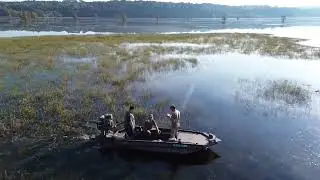 Teal Hunting 2024 #havocboats #gatortail #waterfowlhunting #waterfowl 