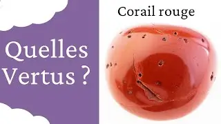 Corail rouge : Vertus de cette Pierre naturelle en Lithoth&eacute;rapie