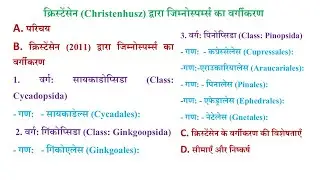 Classification of Gymnosperms by Christenhusz | Modern Systematic Approach |क्रिस्टेंसेन का वर्गीकरण