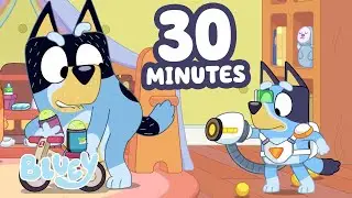 Dad Gets a Surprise! 😮 🎾 | 30 MINUTES NEW Bluey Compilation 💙 ✨ | Bluey