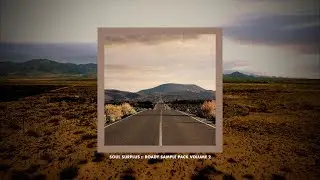 Soul Surplus :: Roady Sample Pack Volume 2