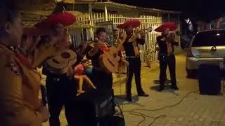 Mariachis en Barranquilla, La Venia Bendita. CEL: 3017026915
