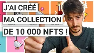 Comment j'ai cr&eacute;&eacute; ma collection de 10000 NFTS !