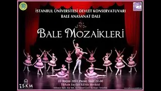 Bale Mozaikleri