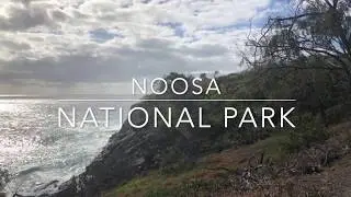 Hiking in Noosa National Park