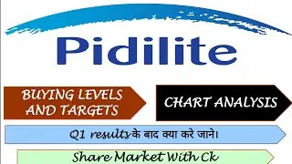 Pidilite share stock analysis buying levels targets