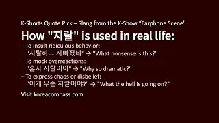 Learn Korean Swear Word &ldquo;지랄&rdquo; with SNL Korea &ndash; Real Workplace Slang Breakdown