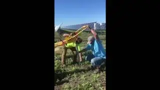 American Ground Screw: Chain-link Fence Installation with Ground Screws