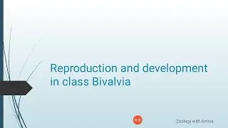 Reproduction and development in class Bivalvia | Phylum mollusca class Bivalvia Reproduction