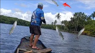 ESSE PESQUEIRO NUNCA FALHA. Pescaria de tarrafa no rio de dentro 🚣‍♀🌅🕸️