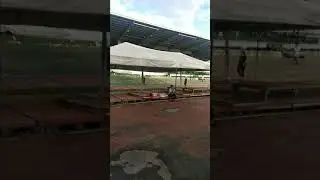 ALBS Free Flight (Long recall)