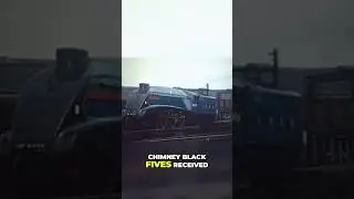 Паровые локомотивы, железнодорожные туры и история Кру #crewe #locomotive #fyp #shed #fypシ