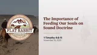 The Importance of Feeding Our Souls on Sound Doctrine // 1 Timothy 4:6-11