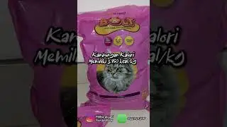 Review Bolt Pink Cat Fodder - Salmon Flavor