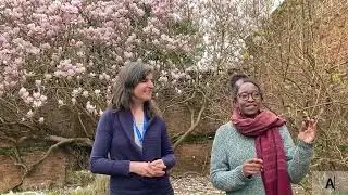 Active Hope - JT2S video