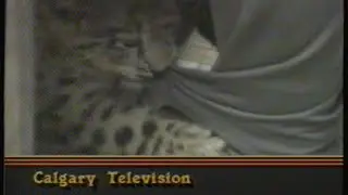 2&7 Promo, Jan 16 1987