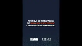 Bill to End Dog Meat Passes AG Committee in S. Korea!