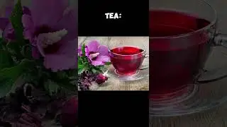 5 Detoxifying and Anti Aging Herbal Teas, #facts #beauty #sports