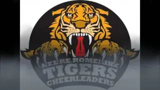 Norgesmesterskapet i Cheerleading 2017 Senior Cheer Coed Premier   NRC Tigers Coed Elite dag 1