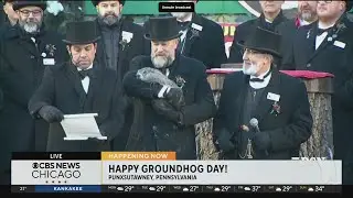 This Groundhog Day, Punxsutawney Phil predicts 6 more weeks of winter
