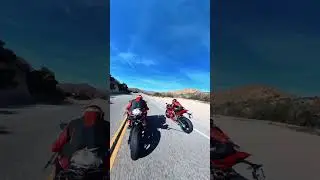 2025 DUCATI V4S VS 2024 BMW S1000RRM