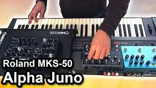 ROLAND Alpha Juno / MKS-50 - Ambient Chillout Music w/ Strymon BigSky + Eventide Timefactor
