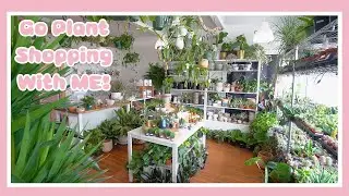 Houseplant Shop Tour and Haul! Go Houseplant Shopping With Me!