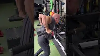 ENTRENAMIENTO DE BRAZOS