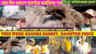 Galiff Street Pet Market,Kolkata|Rabbit, Hamster at Cheap Price|গালিফ স্ট্রিট খরগোশ মার্কেট|14/12/25