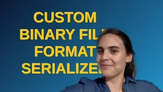 Codereview: Custom binary file format serializer