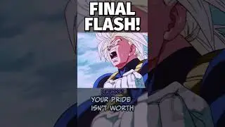 FINAL FLASH!!!