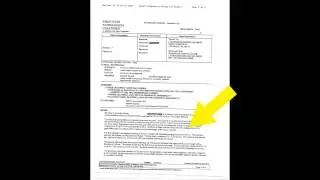 What is a Pathology Report?