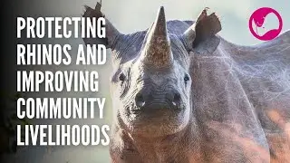Rhino Recovery Fund | Protecting Rhinos and Improving Community Livelihoods in Zambia
