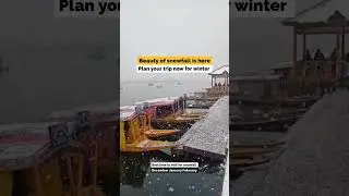 #snow#kashmir#holiday#best #deals#available#subscribe#us#for#latest#snowfall#india#indian #shorts