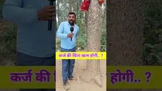पैसो का पेड़ #youtubeshorts #viralpost #money