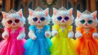 Cutest cat funny dance|dancing cat funny💃#catshorts #shrots#ternding#funny #dance 