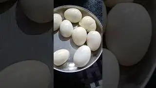 egg...eating.     #nikhithasdiary