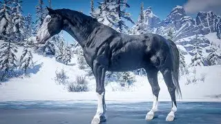 John Marston Tames Micah&rsquo;s Beautiful Horse at Cairn Lake | RDR2