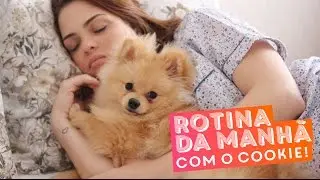 Minha rotina da manhã (com o Cookie!) • Karol Pinheiro