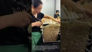Cleaning Enoki Mushrooms: Removing Root Base for Cooking